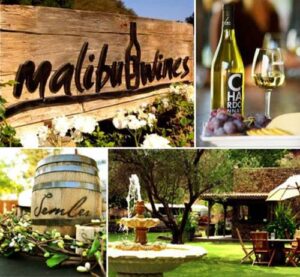 Malibu wine-tasting tours.