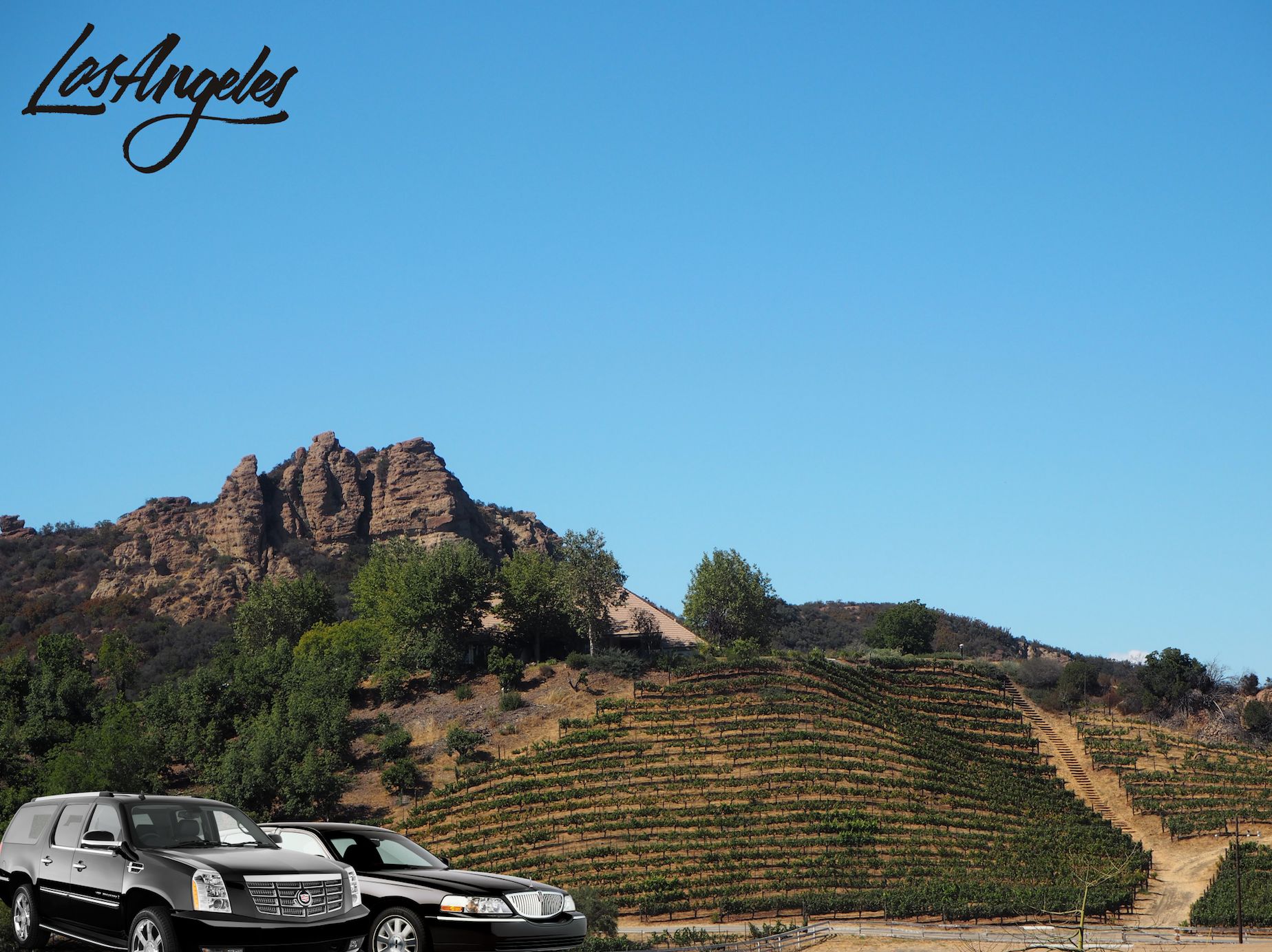 5 Best Los Angeles Wineries!