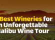 3 Malibu Wineries Perfect for a Limo Wine Tour