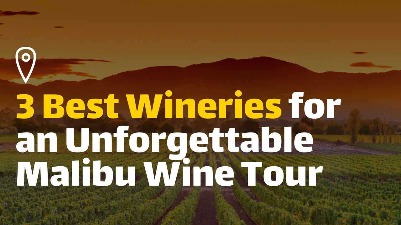 Top 3 Must-Visit Wineries for an Epic Malibu Limo Wine Tour