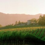 Wine tour photo