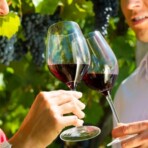 Wine tour photo