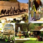 Premium wine tours in Malibu, California