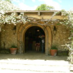 Wine tour photo