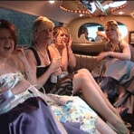 Party bus and limo photo