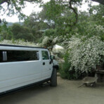Wine tour photo