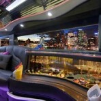 Party bus and limo photo