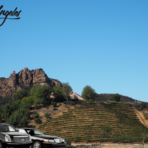 Wine-tasting tour in Los Angeles.