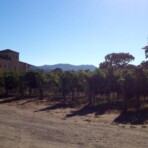 Wine tour photo