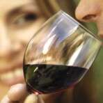 Wine tour photo