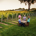 Wine tours
