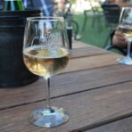 Wine tour photo